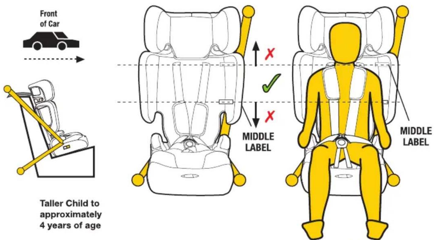 InfaSecure Dash Move - Taller Toddler (using inbuilt harness) - 1