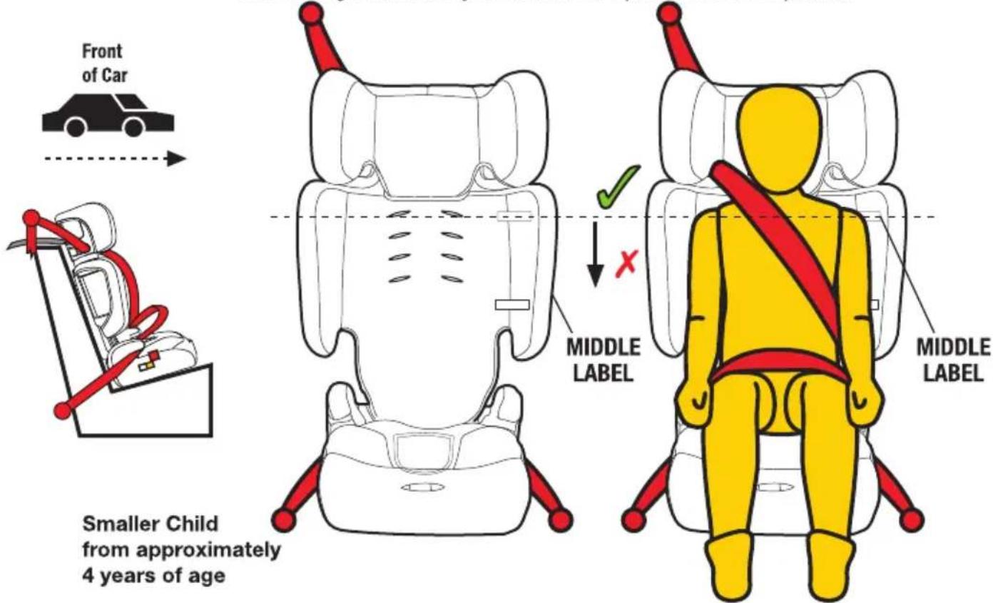 InfaSecure Dash Move - Smaller Child (using lap-sash seatbelt) - 1