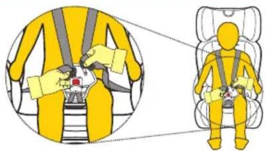 InfaSecure Dash Move - USE - 2