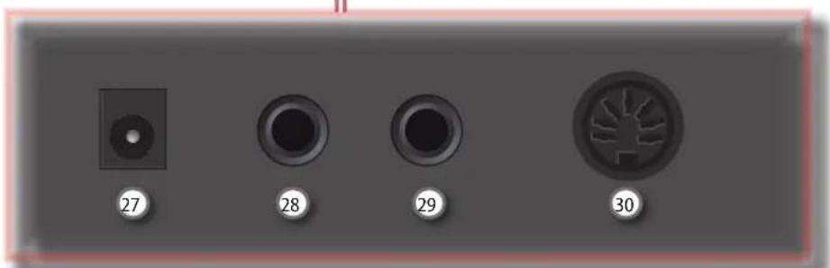 27 28 29 30
