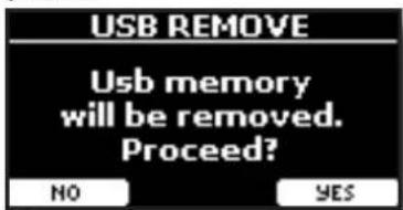 USB REMOVE Usb memory will be removed. Proceed? NO YES