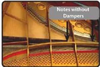 Notes without Dampers