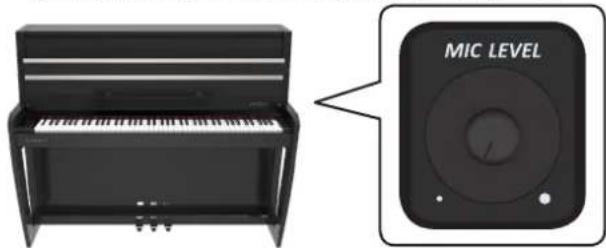MIC LEVEL