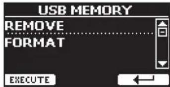 USB MEMORY REMOVE FORMAT EXECUTE