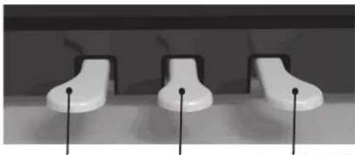 Dexibell VIVO H10V - ▶ DAMPER PEDAL - 1