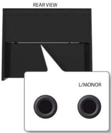 REAR VIEW L/MONOR