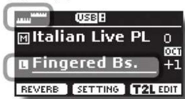 USB Italian Live PL 0 Fingered Bs. +1 REVERB SETTING T2L EDIT