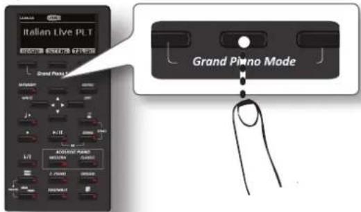 ITALIAN LIVE PLT Grand Piano Mode Grand Piano Mode AQUISIC PIANO MUSTAIN 2. PIANO 1000000 Grand Piano Mode