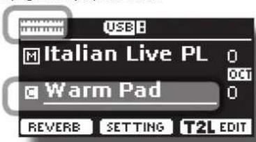 USB M Italian Live PL 0 OCT C Warm Pad 0 REVERB SETTING T2L EDIT