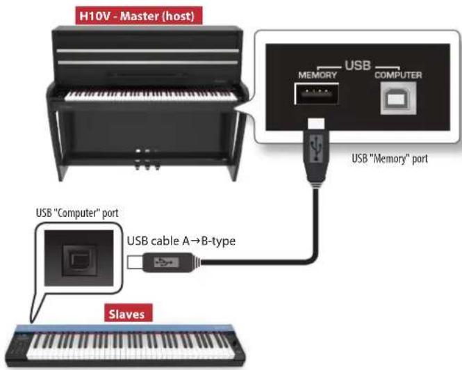 H10V - Master (host) USB MEMORY COMPUTER USB "Memory" port USB "Computer" port USB cable A→B-type Slaves