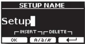 SETUP NAME Setup INSERT DELETE OK A/A/# ←