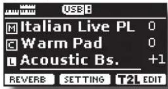 USB M Italian Live PL 0 C Warm Pad 0 □ Acoustic Bs. +1 REVERB SETTING T2L EDIT