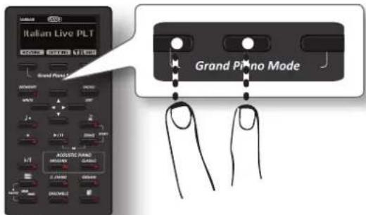 Italian Live PLT Grand Piano Mode AQUATIC HAND MODALY GROUND E-LINK GROUND ONKORE