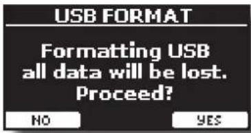 USB FORMAT Formatting USB all data will be lost. Proceed? NO YES