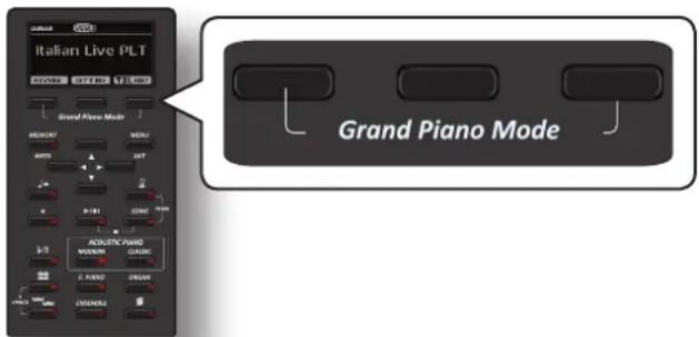 Italian Live PLT Grand Piano Mode Acoustic Piano Grand Piano Mode