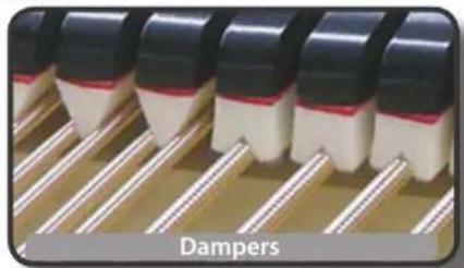 Dexibell VIVO H10V - Damper Noise - 1