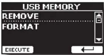 USB MEMORY REMOVE FORMAT EXECUTE