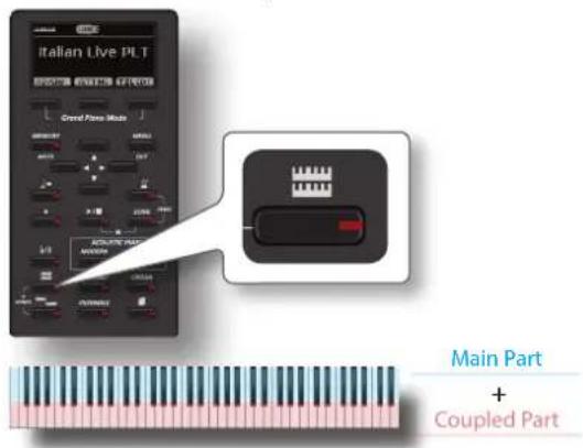 Italian Live PLT Main Part + Coupled Part