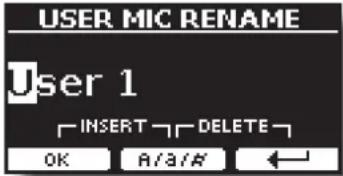 USER MIC RENAME User 1 INSERT DELETE OK A/A/# ←