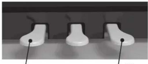 Dexibell VIVO H10V - Assigning the damper for the left piano section. - 1