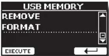 USB MEMORY REMOVE FORMAT EXECUTE