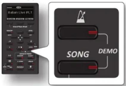 Italian Live PLT SONG DEMO