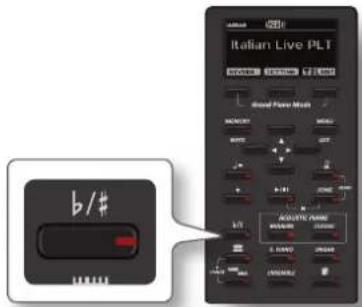Italian Live PLT ACoustic/Maxim ACoustic/Maxim b/#