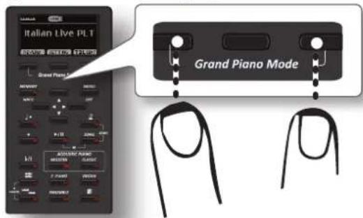 Italian Live PLT Grand Piano Mode Grand Piano Mode AQUISIC PIANO MEETING RUMBER P. PLANT MUSICALS GRASS GRASS GRASS GRASS GRASS GRASS GRASS GRASS GRASS GRASS GRASS GRASS GRASS GRASS GRASS GRASS GRASS GRASS GRASS GRASS GRASS GRASS GRASS GRASS GRASS GRASS GRASS GRASS GRASS GRASS GRASS GRASS GRASS GRASS