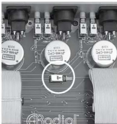 Radial Engineering OX8 - Internal Chassis Ground Lift - All Channels - 1
