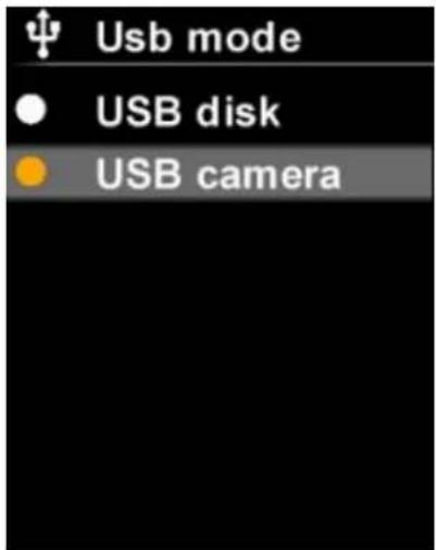 Usb mode USB disk USB camera