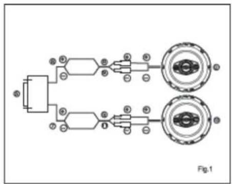 Fig.1