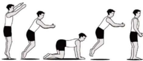Springfree Jumbo Oval O200 - THE HANDS AND KNEES DROP - 1