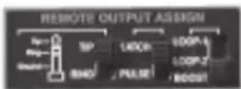Radial Engineering Loopbone - Remote Output Assign Switches - 1