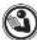 Lasko Whirlwind A12668 - IMPORTANT SAFETY INSTRUCTIONS - 2