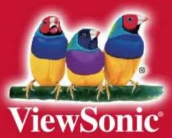 VIEWSONIC NMP599-W-2 - Exclusion of damages: - 1