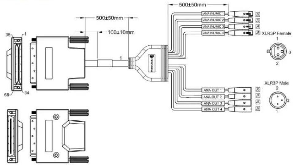 500±50mm 100±10mm 500±50mm ANA FILAMIC 1 ANA FILAMIC 2 ANA FILAMIC 3 ANA FILAMIC 4 XLR3P Female 1 3 2 ANA OUT 1 ANA OUT 2 ANA OUT 3 ANA OUT 4 XLR3P Male 2 3 1
