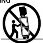 Phase Technology CI6.1X - PORTABLE CART WARNING - 1