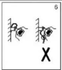 6 X