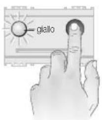 giallo