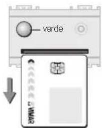 verde TAMK