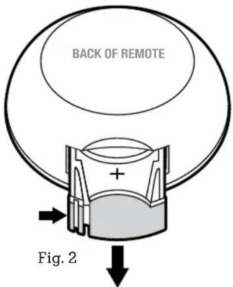 BACK OF REMOTE + Fig. 2