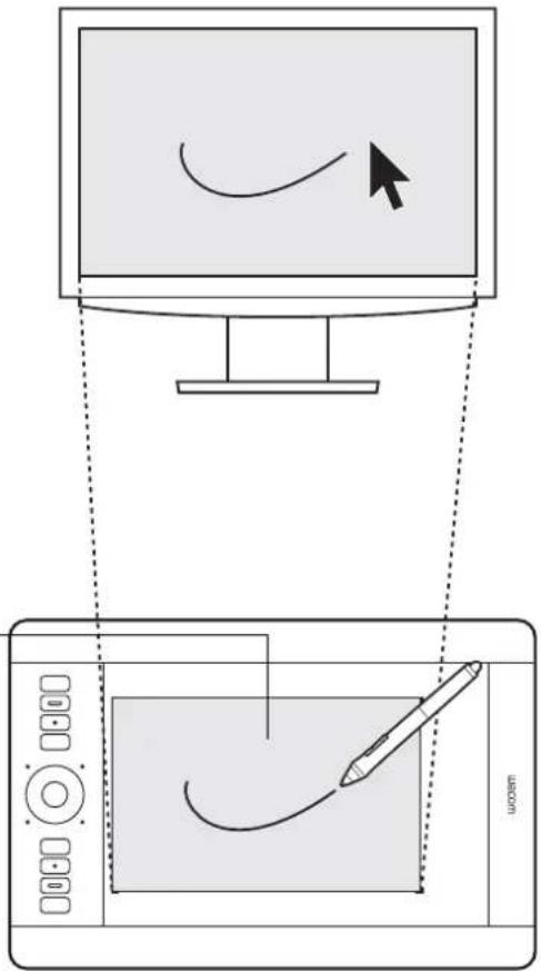 WACOM Intuos5 Touch M - Pen input - 1
