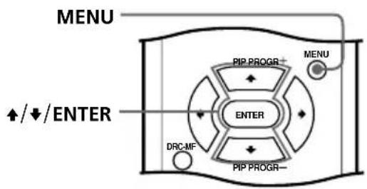 MENU ↑/↓/ENTER PIP PROGR+ PIP PROGR- MENU ENTER DRC MF PIP PROGR-