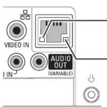 VIDEO IN AUDIO OUT (VARIABLE)