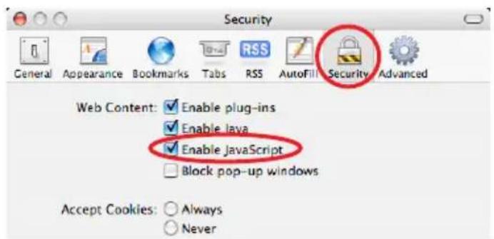 Security General Appearance Bookmarks Tabs RSS AutoFill Security Advanced Web Content: ✓ Enable plug-ins ✓ Enable java ✓ Enable JavaScript Block pop-up windows Accept Cookies: ○ Always ○ Never