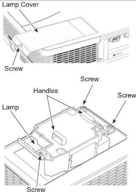 Lamp Cover Screw Lamp Handles Screw Screw Screw