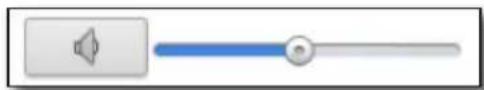 SAMSUNG NET-i ware - To adjust the volume - 1