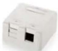Equip HDMI Cable - Cat.5e Surface Mounted Box - 2