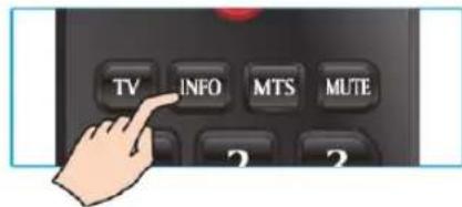 TV INFO MTS MUTE