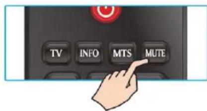 TV INFO MTS MUTE